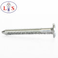 Flat Head Hexagonal Socket Bolt with Point